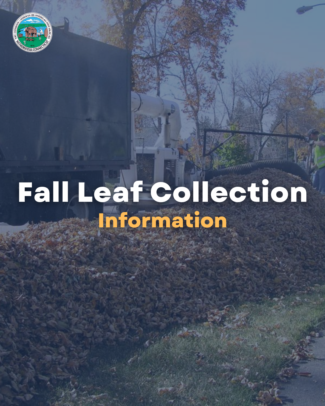 Fall Leaf Collection Information