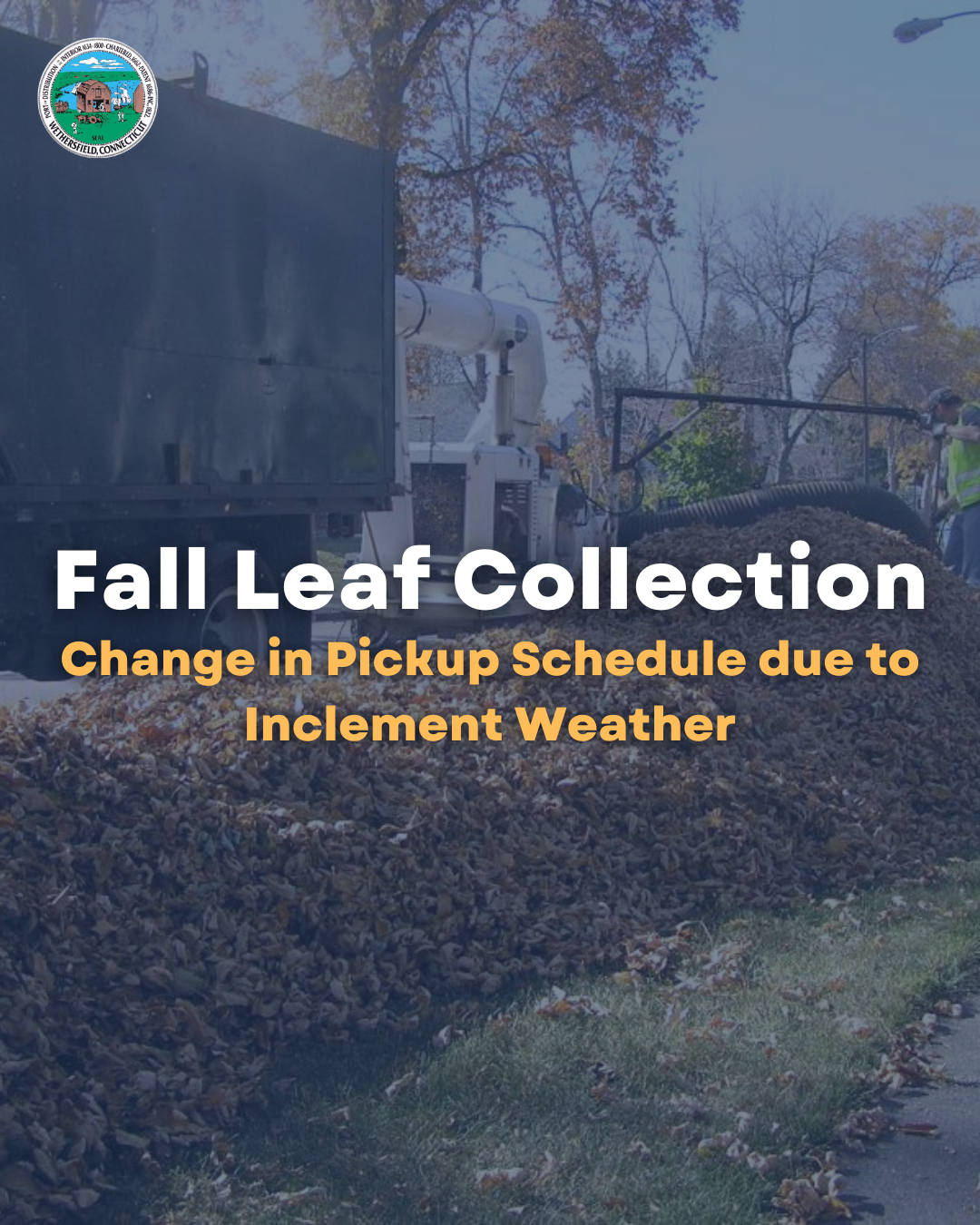 Fall Leaf Collection Change