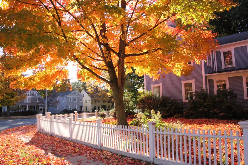 2015 Photo Contest 1st Place - Ruth Lamy