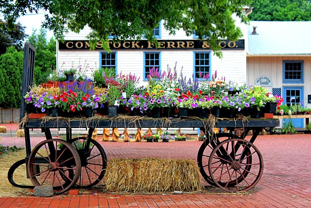 2015 Photo Contest 4th Place - George Savic