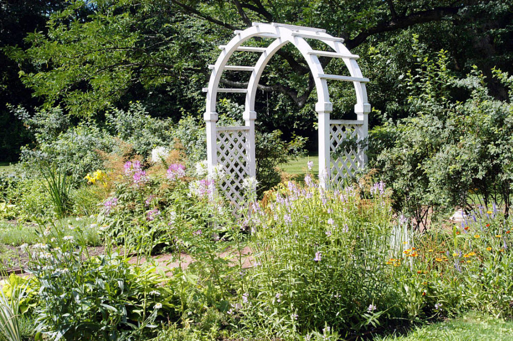 Amy Cogswell Garden