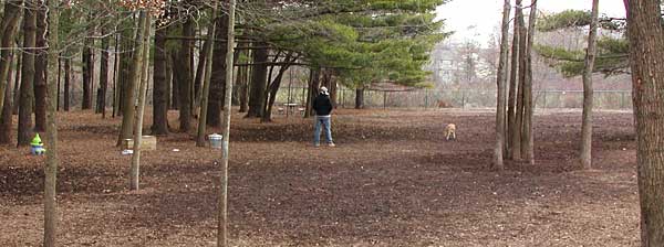 An overview of the dog park